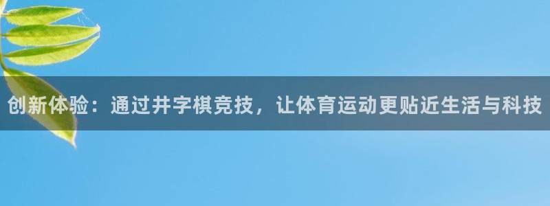 中欧体育官网：创新体验：通过井字棋竞技，让体育运动更贴近生活与科技