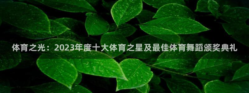 中欧体育平台：体育之光：2023年度十大体育之星及最佳体育舞蹈颁奖典礼