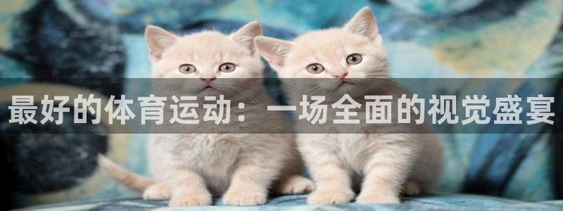 中欧体育集团：最好的体育运动：一场全面的视觉盛宴
